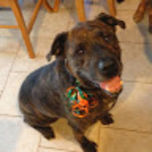 Meet your Posher, Missy